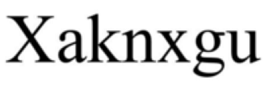 XAKNXGU